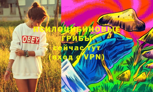 метадон Козловка