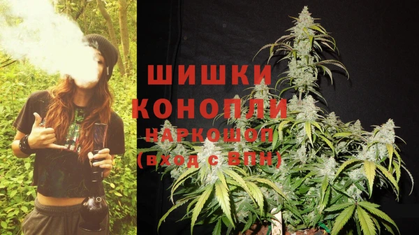 гидропоника Кодинск