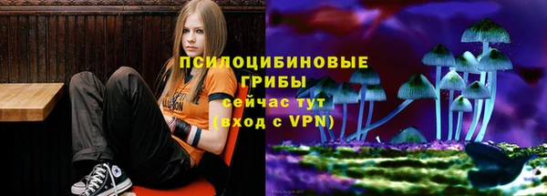 MDMA Козельск