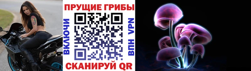 Псилоцибиновые грибы ЛСД  Купить где  Дедовск 
